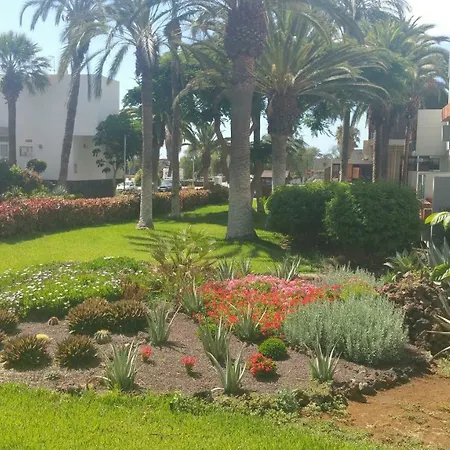 Appartement Residencial Primavera